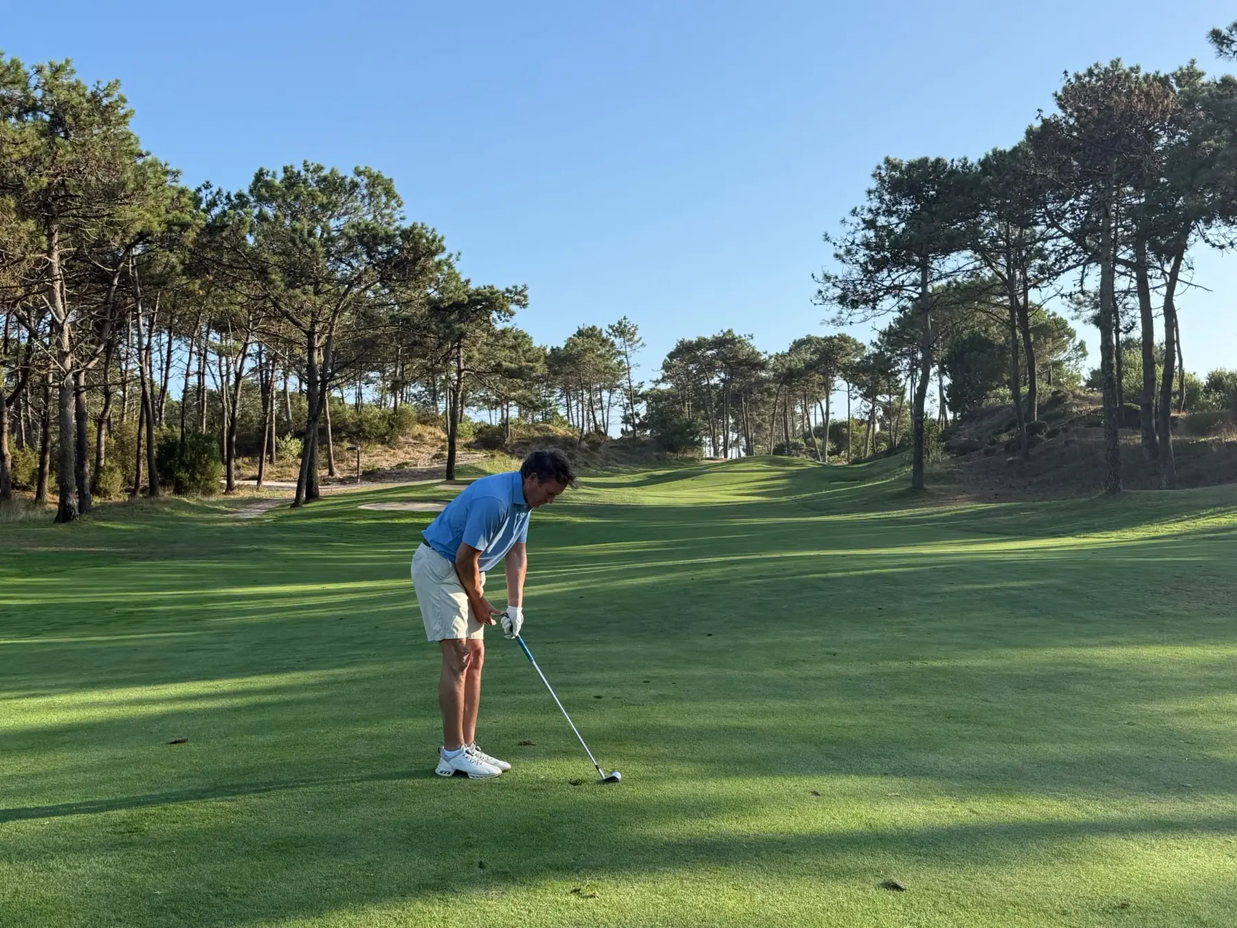 A golfer preparing an approach shot on a tree-lined fairway