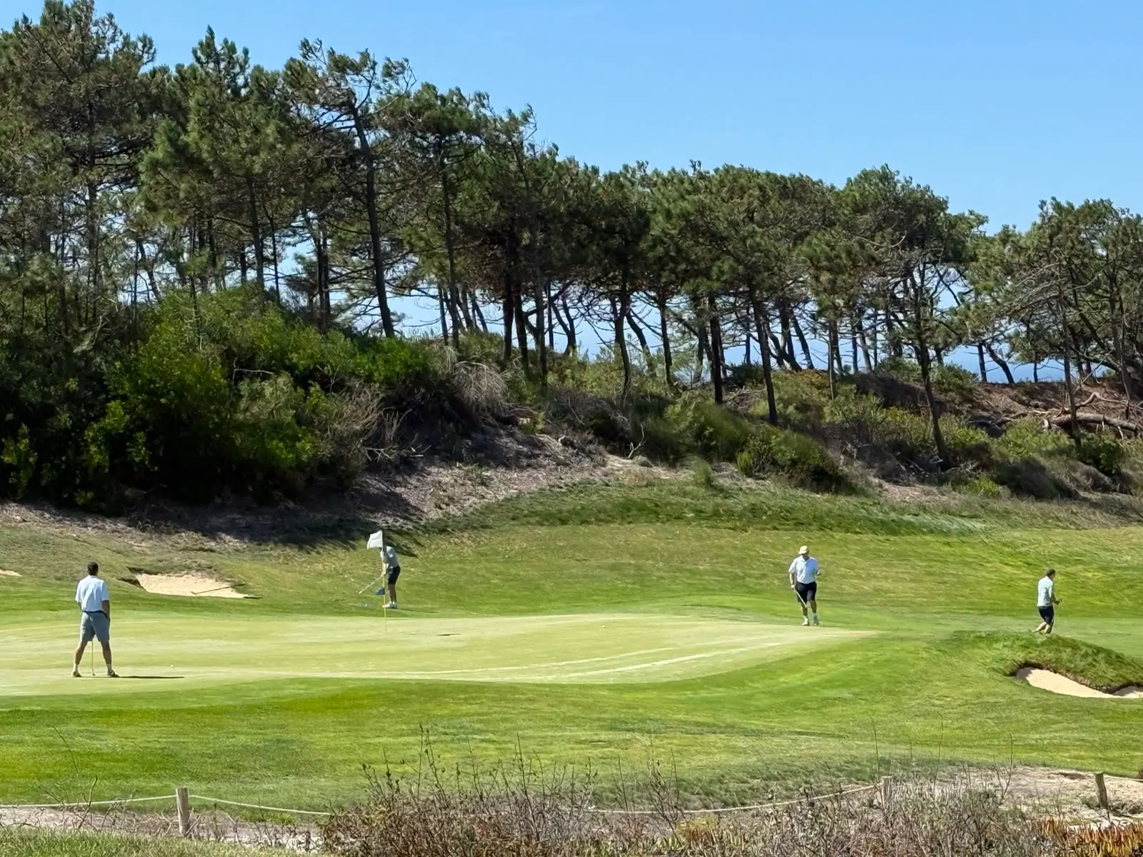 Four golfers around a green framed by pine trees